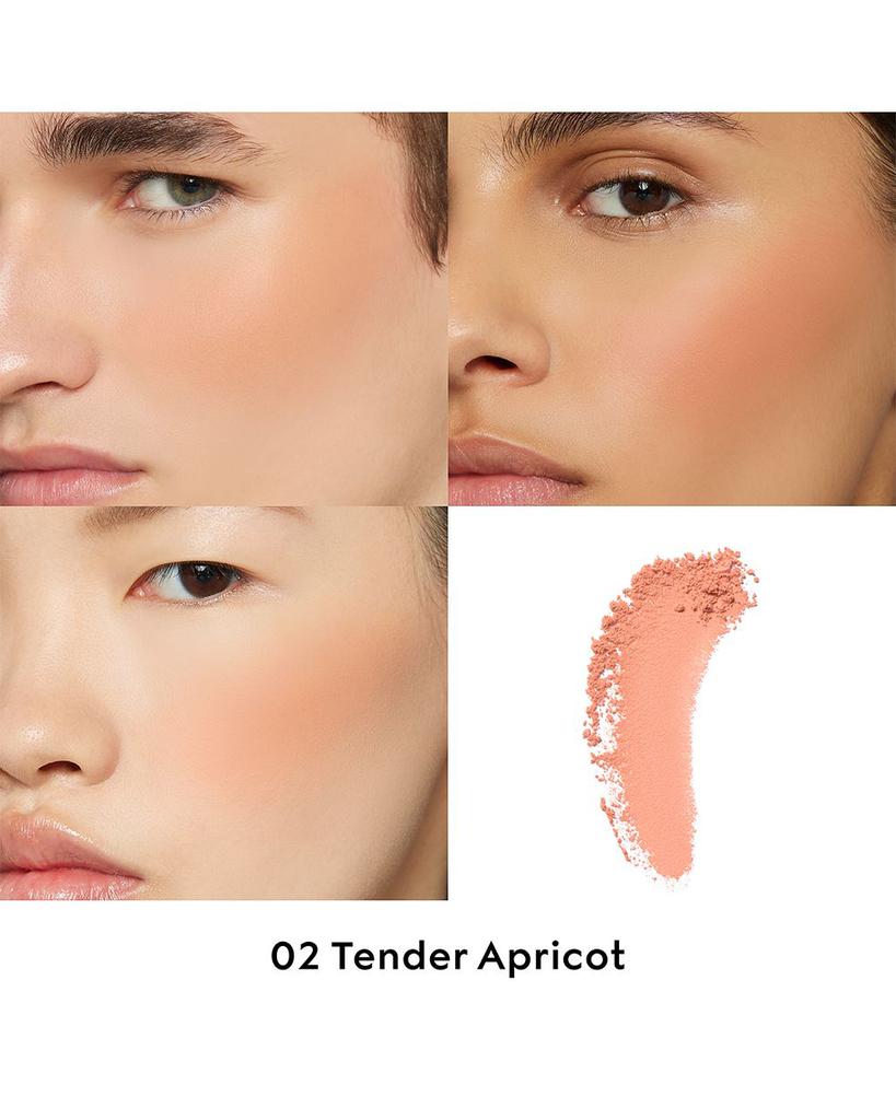 Blush de Beauté Luminous Matte Powder Blush - Luna BR wear co.