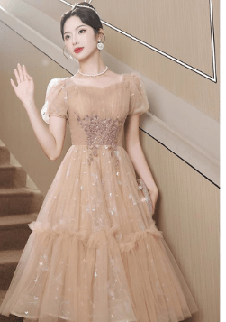 French Retro Sweet Fairy Dress with Heavy Embroidery - Luna BR wear co.