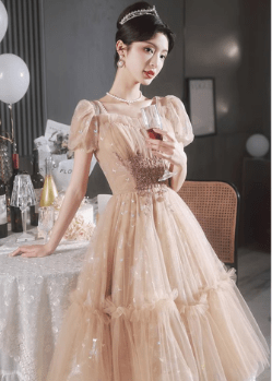 French Retro Sweet Fairy Dress with Heavy Embroidery - Luna BR wear co.