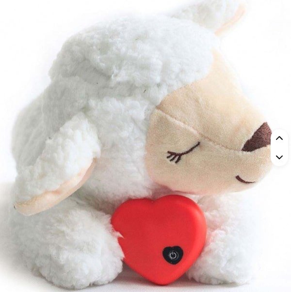 Heartbeat Box Pet Anxiety Relief Sleep Toy - Luna BR wear co.