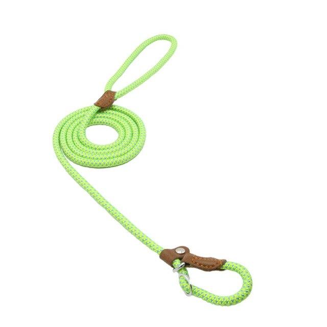 Nylon Pup Set - Luna BR wear co.