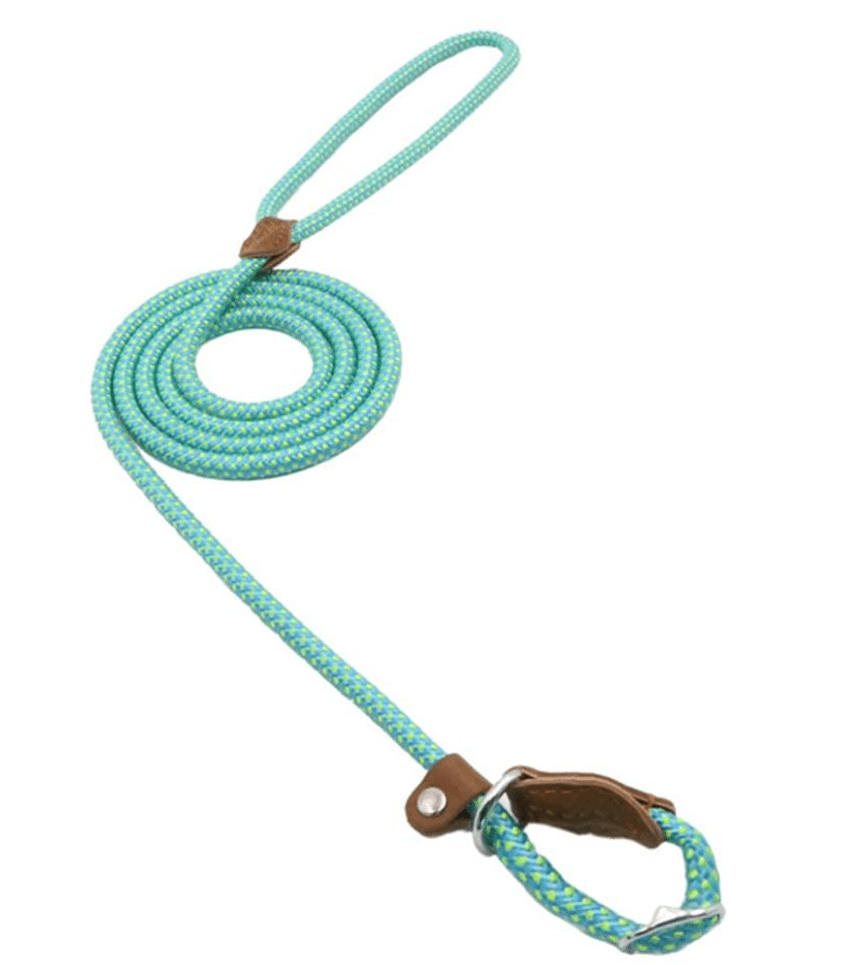 Nylon Pup Set - Luna BR wear co.