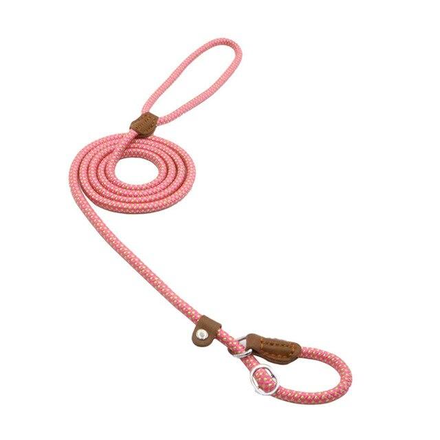 Nylon Pup Set - Luna BR wear co.