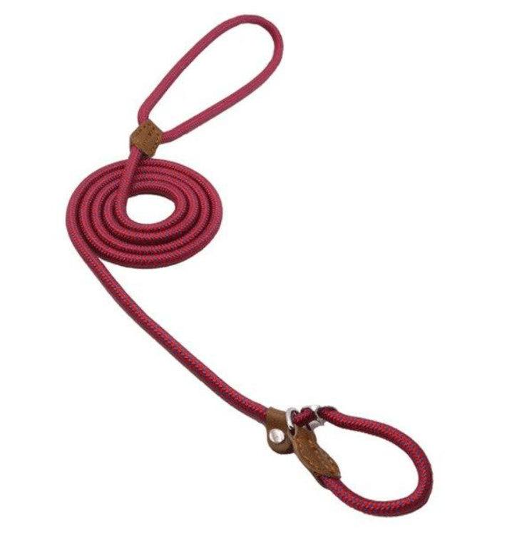 Nylon Pup Set - Luna BR wear co.