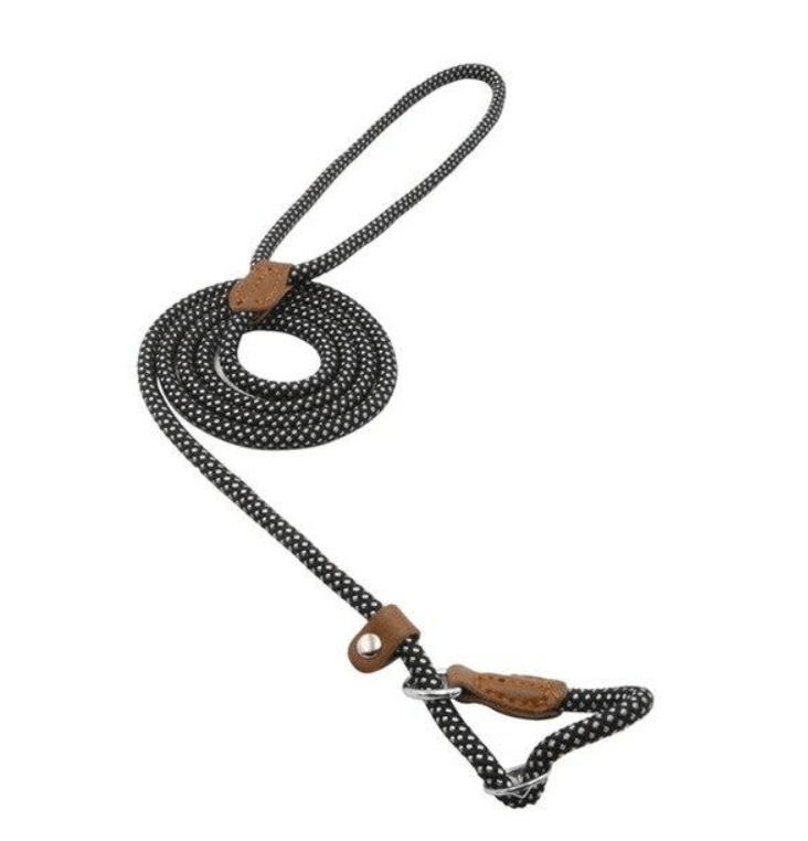 Nylon Pup Set - Luna BR wear co.