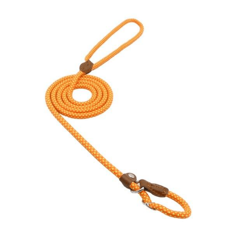 Nylon Pup Set - Luna BR wear co.