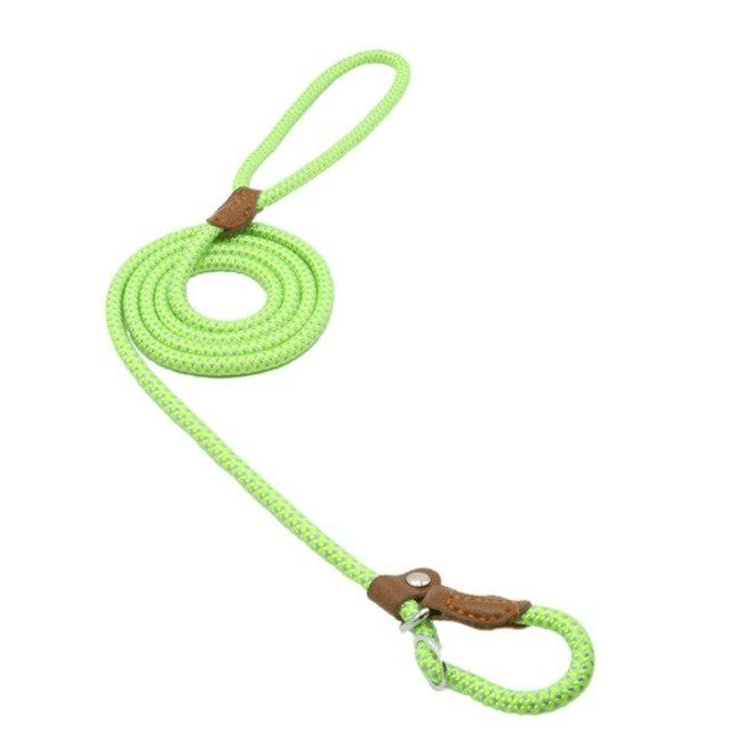 Nylon Pup Set - Luna BR wear co.