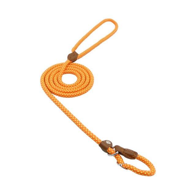 Nylon Pup Set - Luna BR wear co.