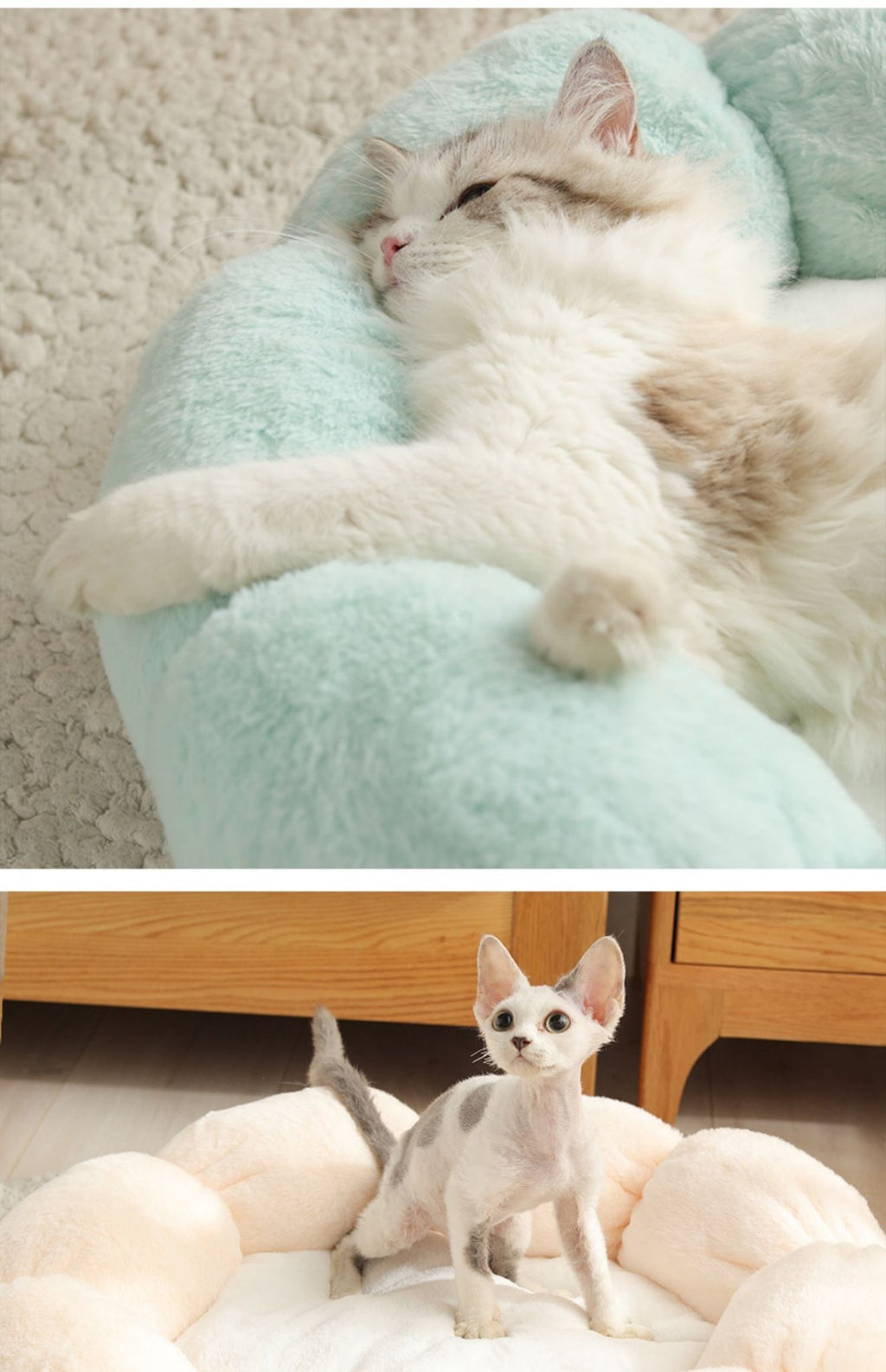 Universal Washable Cat and Dog Bed - Luna BR wear co.