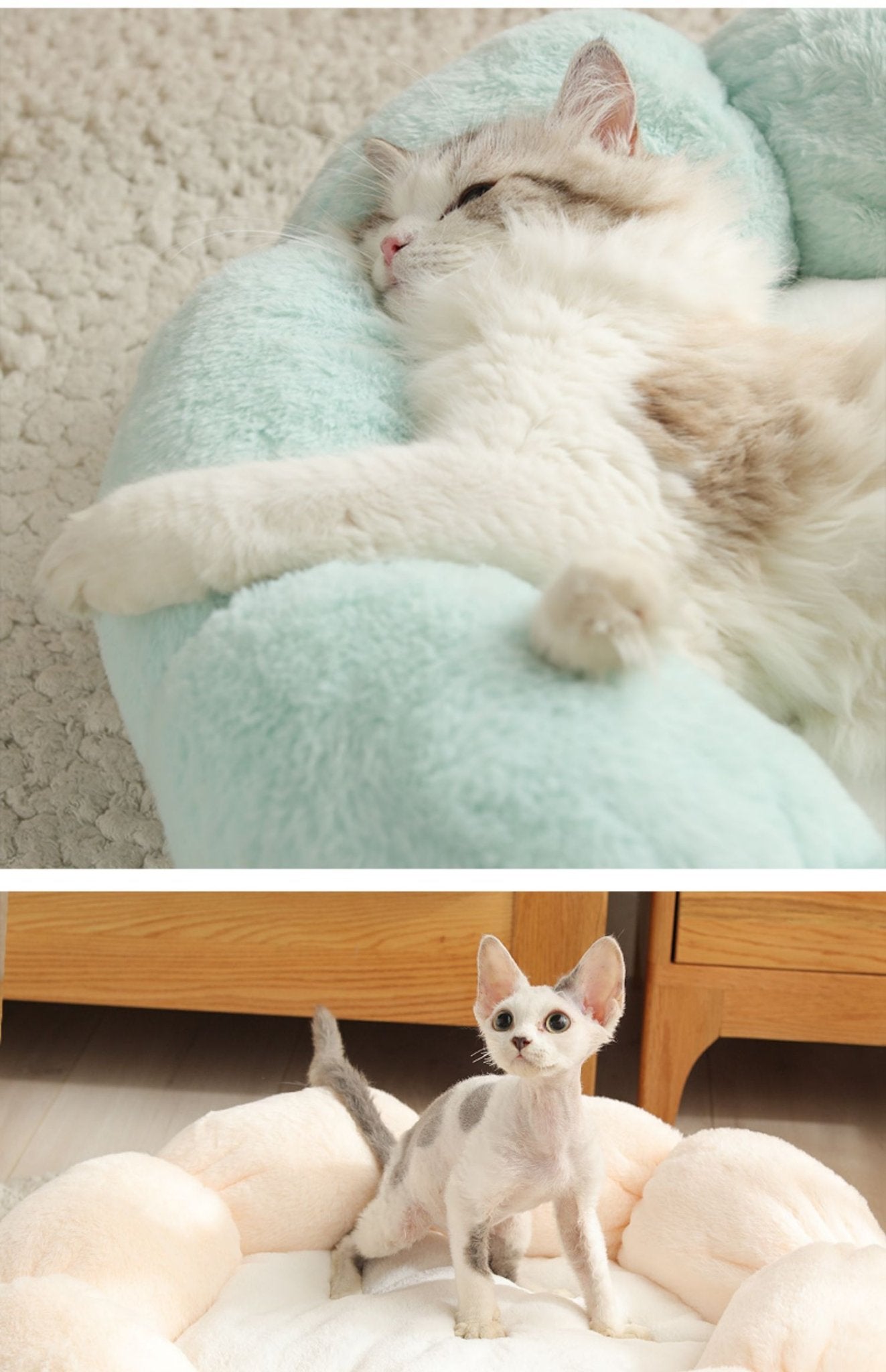 Universal Washable Cat and Dog Bed - Luna BR wear co.