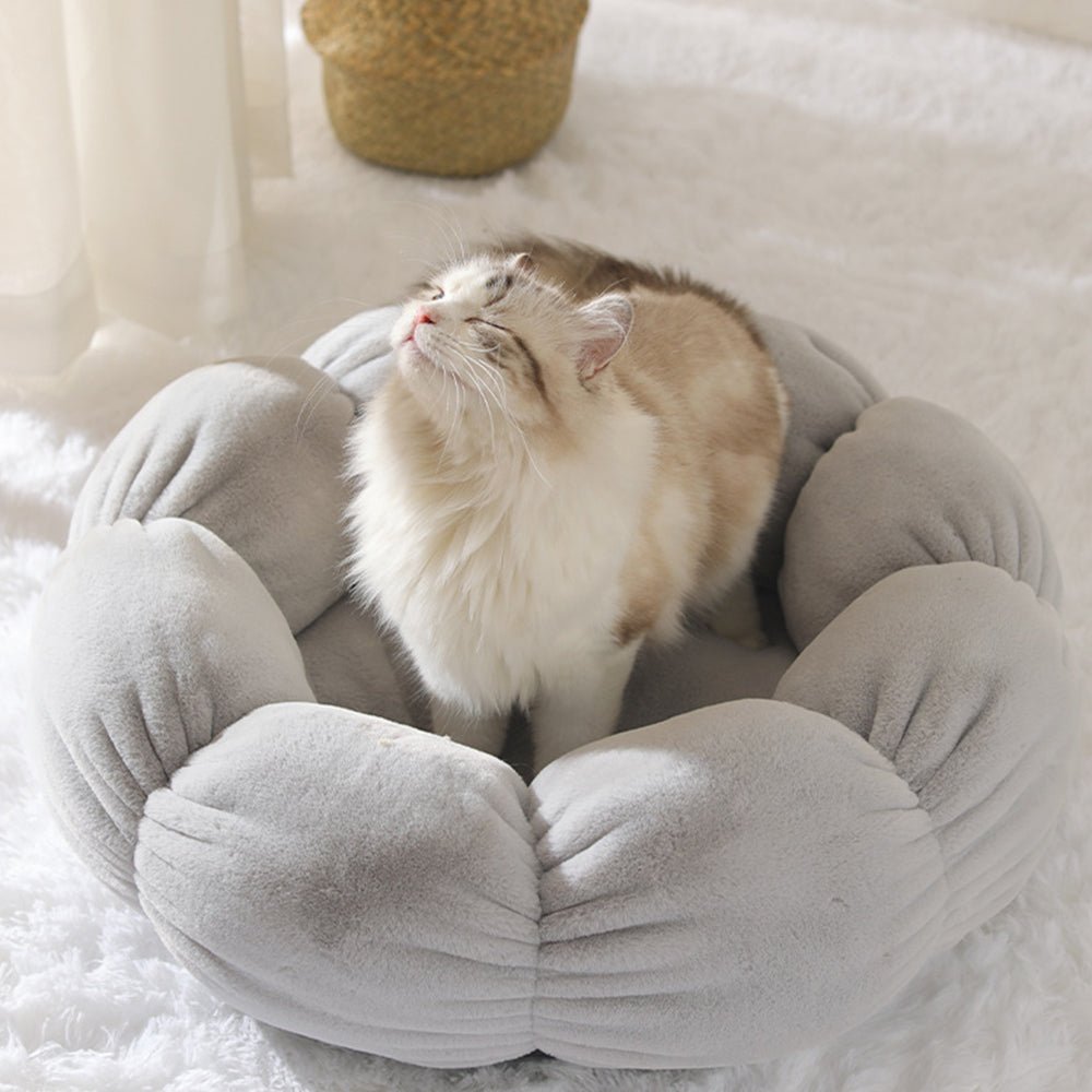 Universal Washable Cat and Dog Bed - Luna BR wear co.