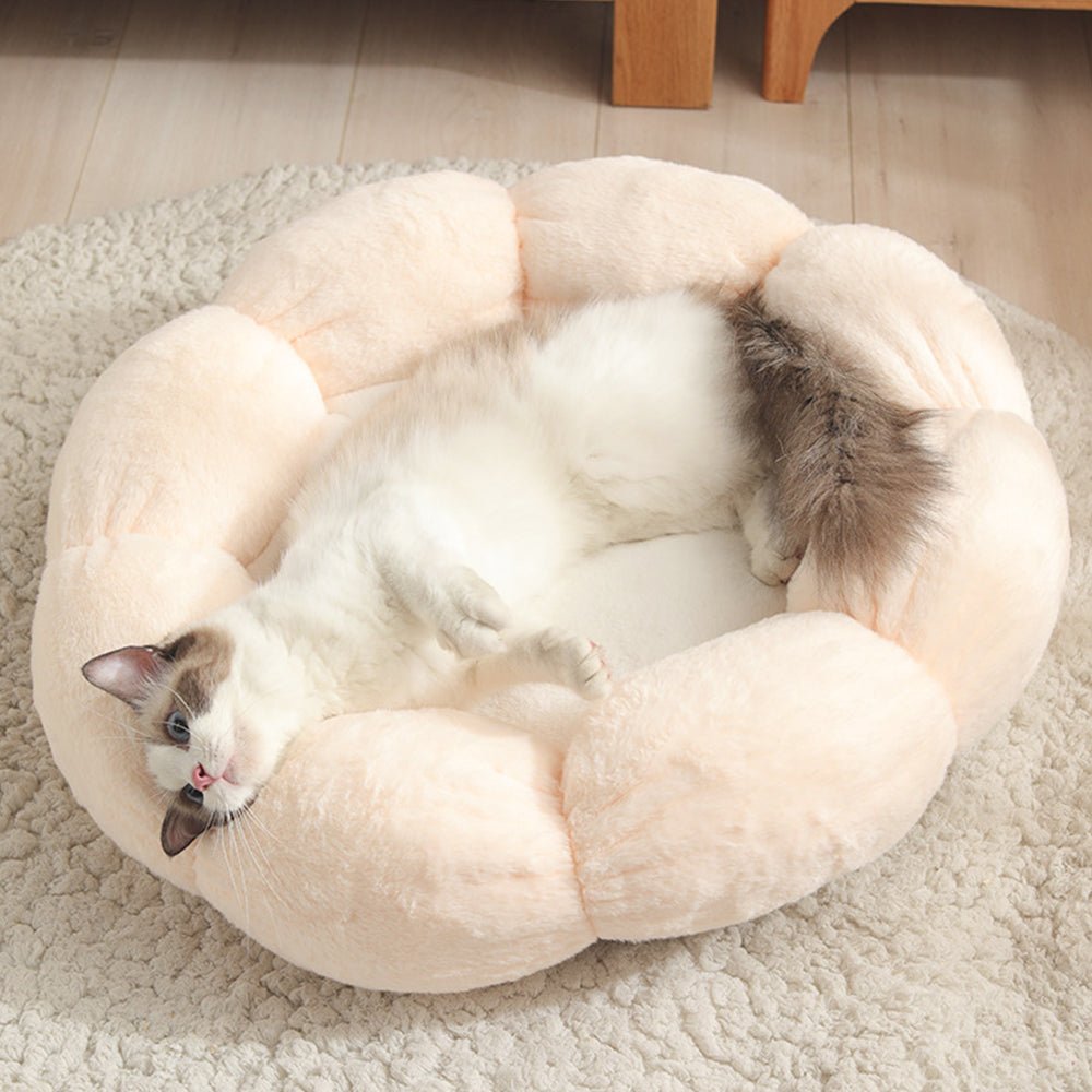 Universal Washable Cat and Dog Bed - Luna BR wear co.