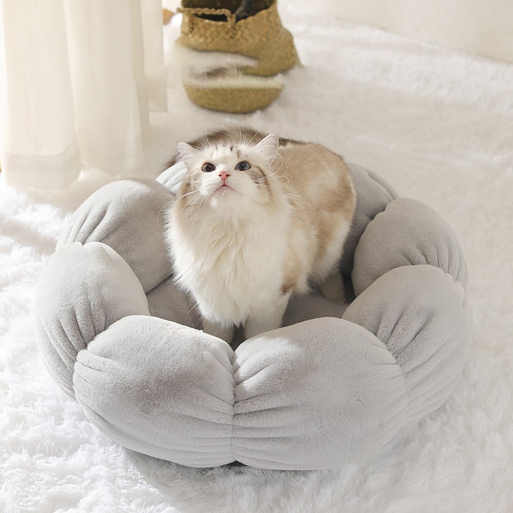 Universal Washable Cat and Dog Bed - Luna BR wear co.
